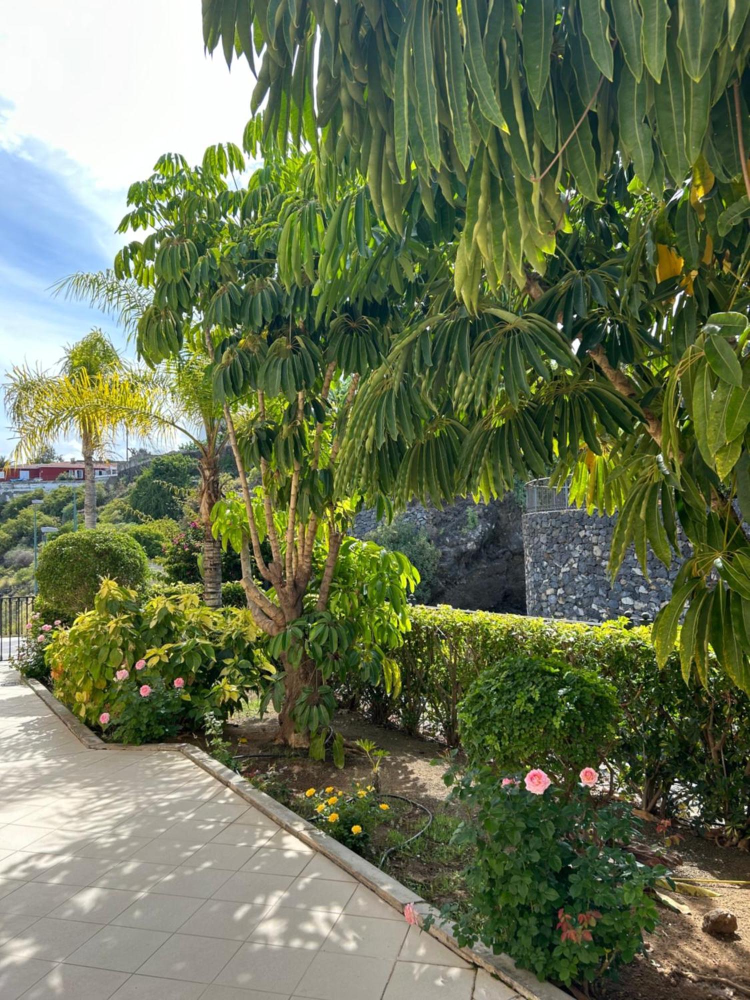 Hermosa Vista Puerto de la Cruz  Dış mekan fotoğraf